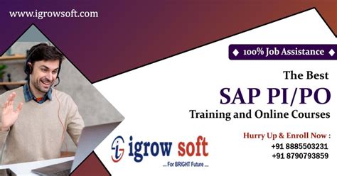 Best Erp Pipo Online Training With Placement Igrowsoft