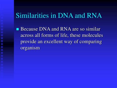 Ppt Modern Evolutionary Classification Powerpoint Presentation Hot Sex Picture