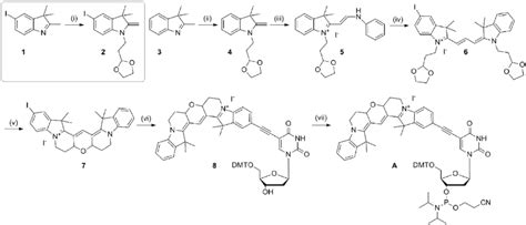 Scheme 1 Synthesis Of Cy3BdT Phosphoramidite Reagents And Conditions