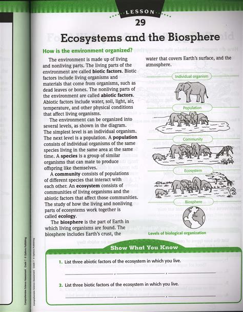 Levels Of Organization Ecology Worksheets