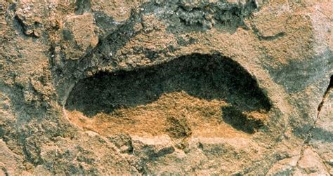 Ancient Footprint Found In Africa Linked To Unknown Human Ancestor