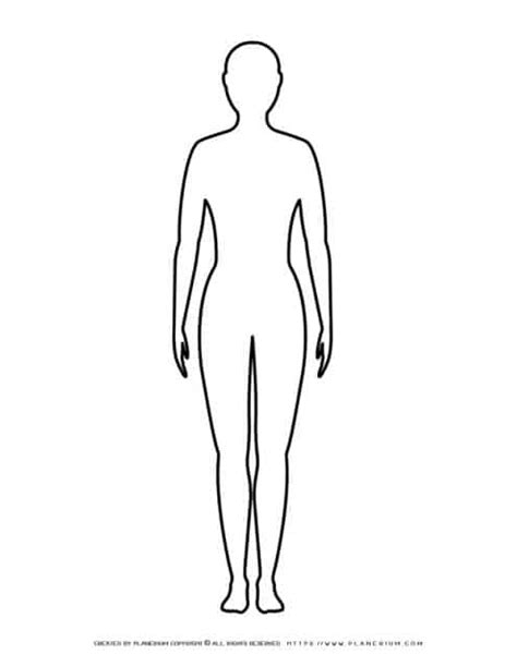 Female Body Outline Planerium