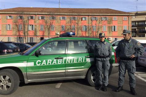 I Carabinieri Forestali Armi E Tiro