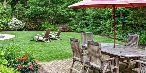 Achieving a Mosquito-Free Yard: Effective Grass Treatment and Expert ...