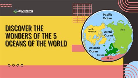 Ocean Definition Distribution Map Formation Facts