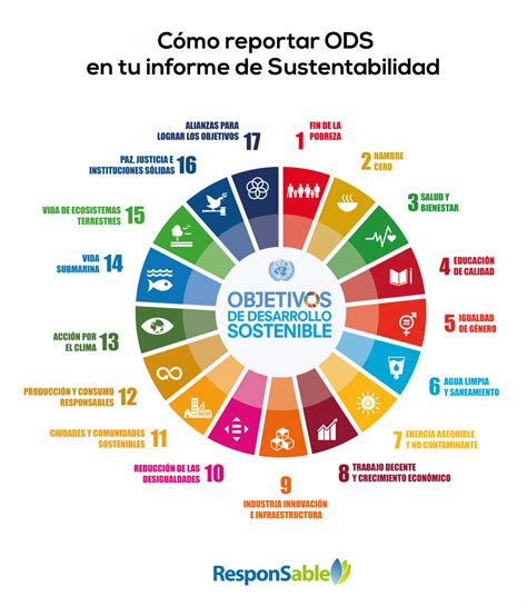 C Mo Reportar Ods En Tu Informe De Sustentabilidad En