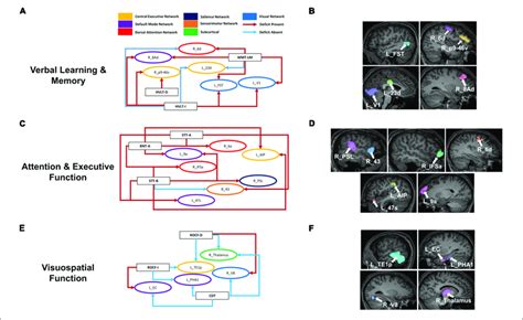 Overlaps Within Cognitive Domains May Provide Insight Into Functional