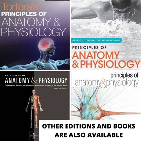 Tortora Principles Of Anatomy And Physiology Tortoras Hobbies