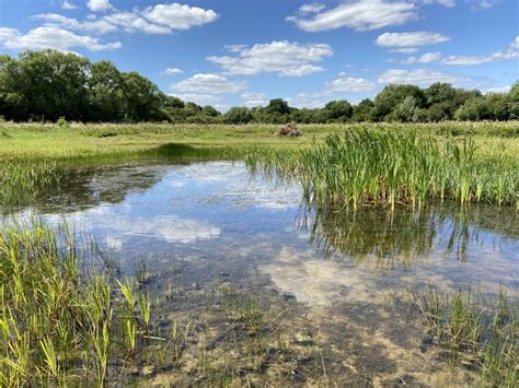 Advice and Resources - Freshwater Habitats Trust