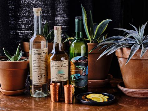 Spirits Of Agave Everything You Need To Know About Tequila And Mezcal