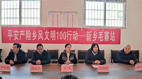 平安产险新乡中支“乡风文明100行动”落地应举镇毛寨村党建乡村发展