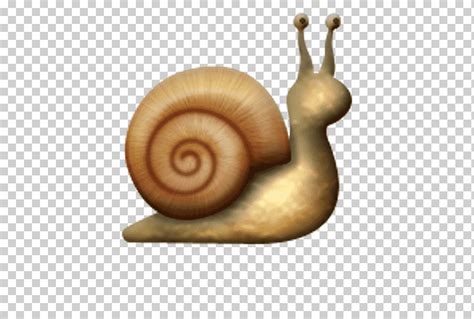 Emoji caracol babosa gastrópodos escargot emoji emoticon caracoles y