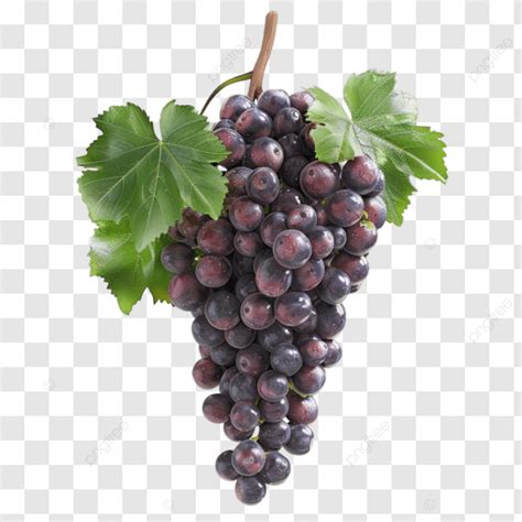 Racimo De Uvas Rojas Y Moradas Oscuras Colgando De Una Vid Png Dibujos