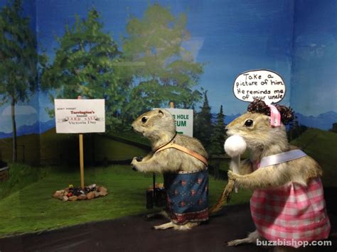 The World Famous Gopher Hole Museum In Torrington, Alberta — The Blog ...