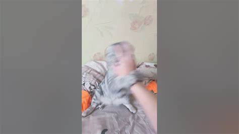 Моя очередь - YouTube