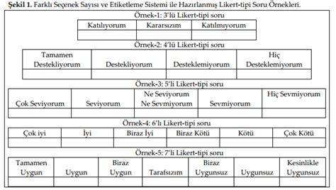 Likert L E I Nedir Planports Blog