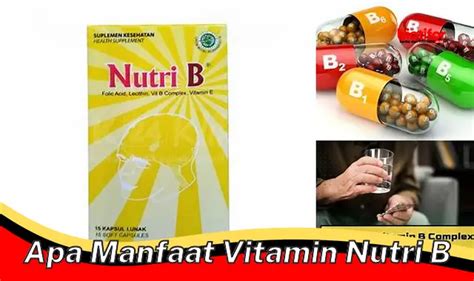 Temukan Berbagai Macam Vitamin IPI Beserta Manfaat Menakjubkannya Yang