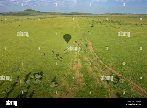 African Safari Landscape Stock Photo Alamy