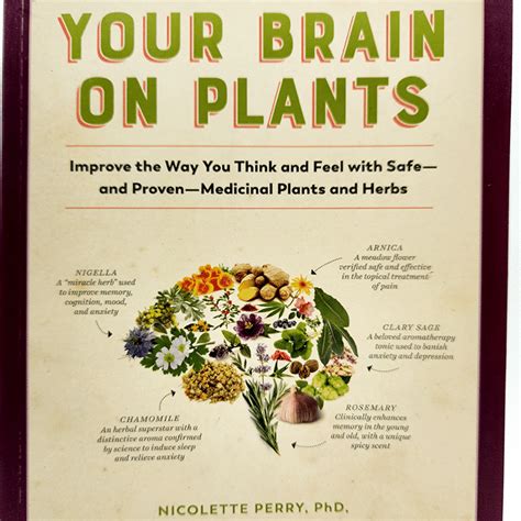 Your Brain on Plants • Herb Stomp