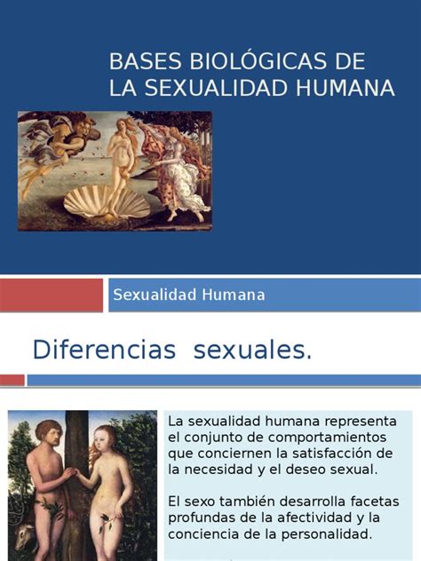 2 Bases Biolgicas De La Sexualidad Humana Testículo Ciclo Menstrual