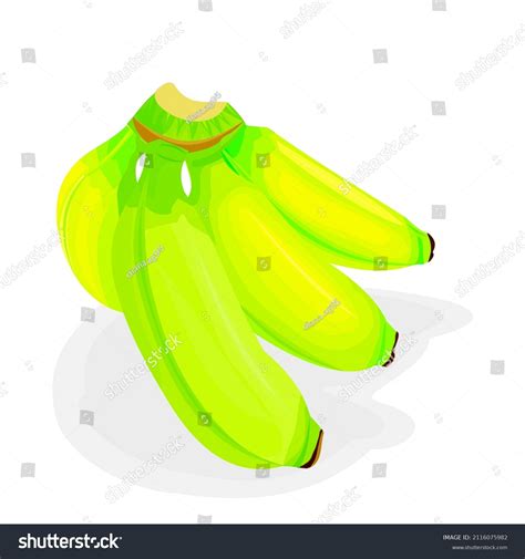 Vector Illustration About Banana Source Vitamin Stock Vector (Royalty