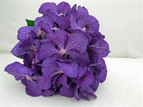 Vanda Orchids - Bouquet Wedding Flower