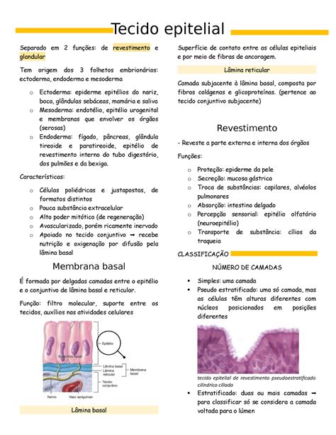 Tecido Epitelial Resumo Histologia Tecido Epitelial Separado Em 2 Funções De Revestimento E