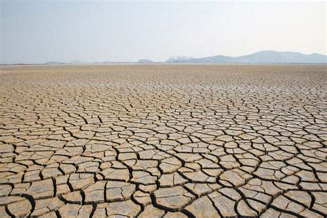 Kemarau Panjang Bakal Terjadi Siklus El Nino Melanda Negeri