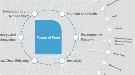 How Has China Maintained Domestic Food Security Amid Global Food Crises