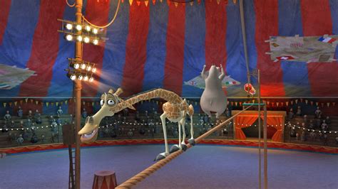 Madagascar 3 The Video Game Screenshot 14 Melman And Gloria On High