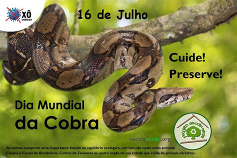 DIA MUNDIAL DA COBRA Programa Escola Verde