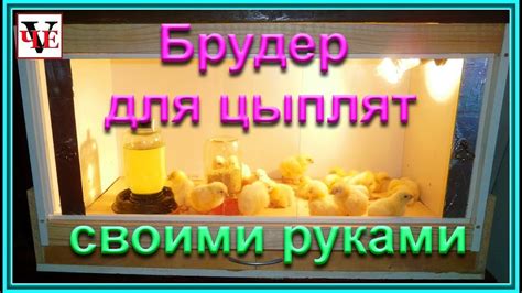 Брудер для цыплят - своими руками. - YouTube