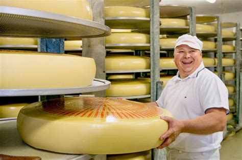 Emmental Cheese King Of Cheeses