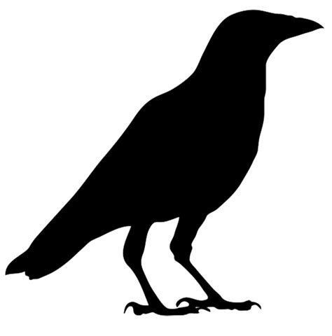 Crow clipart fox, Crow fox Transparent FREE for download on ...