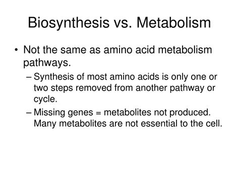 PPT - Amino Acid Biosynthesis PowerPoint Presentation, free download ...