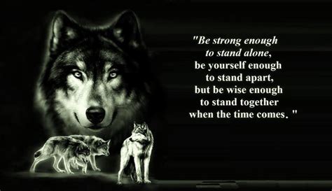 Wolf Sayings Wallpaper