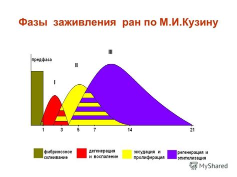 Презентация на тему РАНЫ И РАНЕВОЙ ПРОЦЕСС 1 Основные понятия и исторический обзор 2