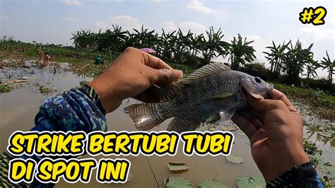 GAK NYANGKA MANCING DI RAWA YANG DANGKAL INI TERNYATA BANYAK