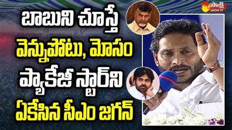 Cm Ys Jagan Serious Comments On Pawan Kalyan And Chandrababu Ysr