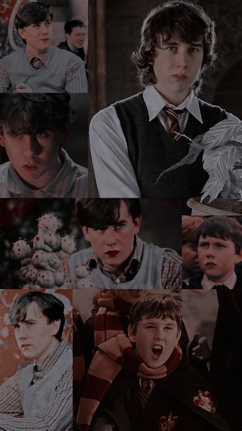 Cute Neville Longbottom Wallpapers Wallpaper Cave