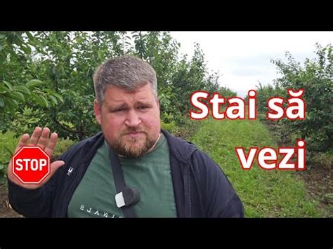 Vișin forma pomului Multilider YouTube