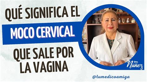 Qué significa el moco cervical que sale por la vagina YouTube