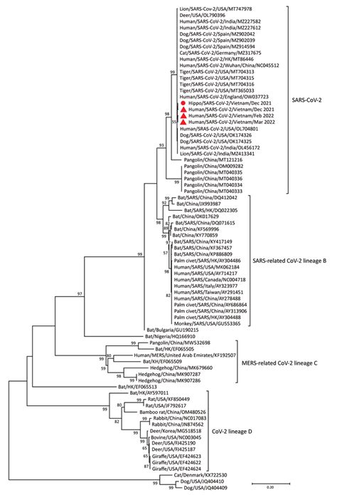 Figure Maximum Likelihood Tree Constructed For 600 Bp RNA Dependent