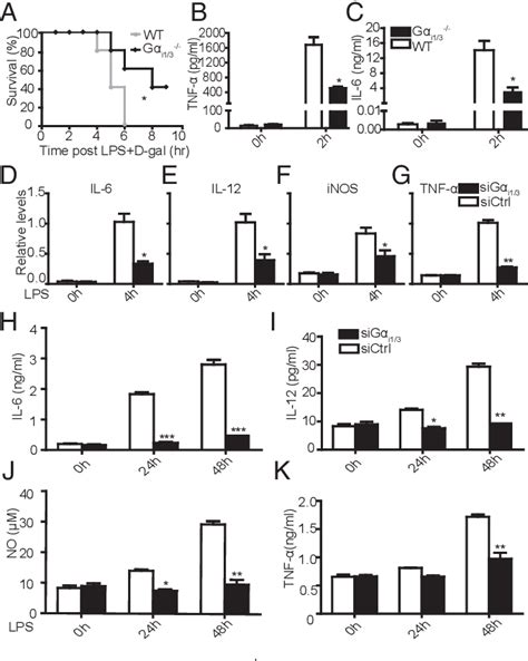 Figure 1 From Gαi1 And Gαi3 Regulate Macrophage Polarization By Forming