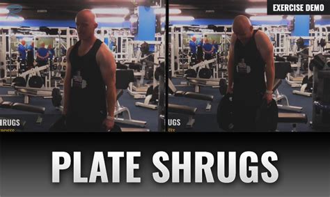 Plate Shrugs • Russ Howe Pti