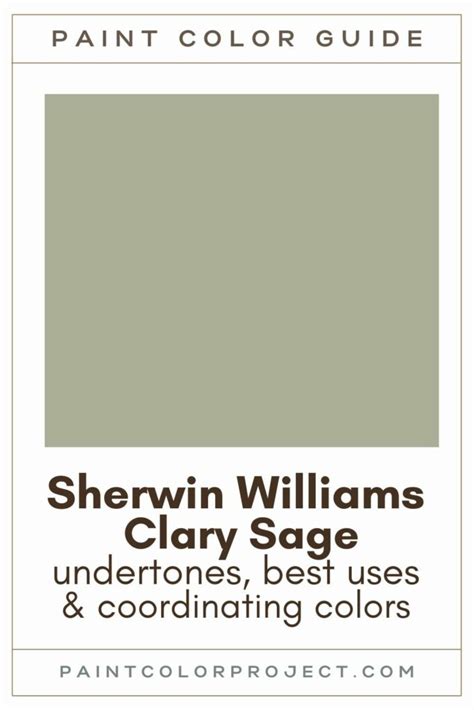 Sherwin Williams Clary Sage Complete Paint Color Review The Paint