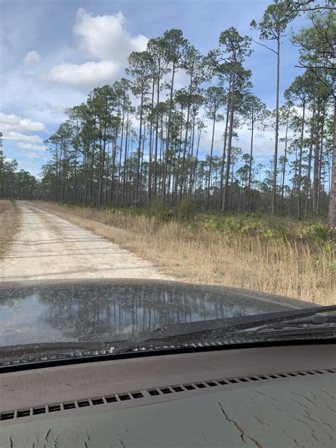 Apalachicola National Forest | IH8MUD Forum