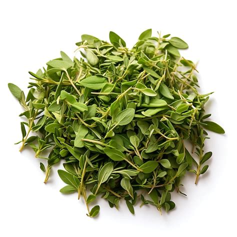 Premium Ai Image Variety Of Nature Thyme Leaves Type Of Herb Thymus