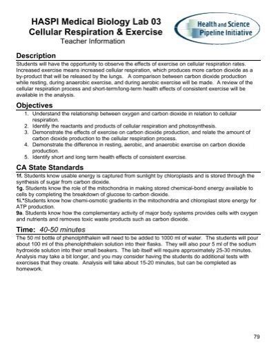 HASPI Medical Biology Lab 03 Cellular Respiration Exercise