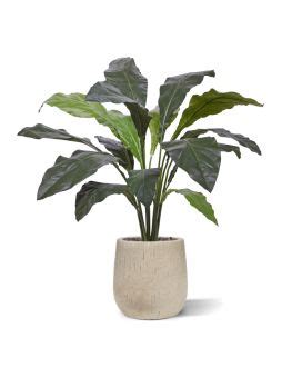 Anthurium Jungle King Kunstplant 100cm Maxifleur Kunstplanten